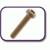 PEEK® pan head screw [180] (180062070409)